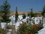 17 Ağustos 2003, SEMA SİTESİ - Yalova
