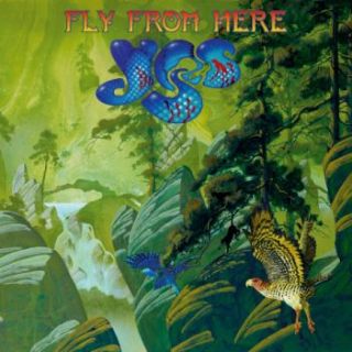 FLY FROM HERE